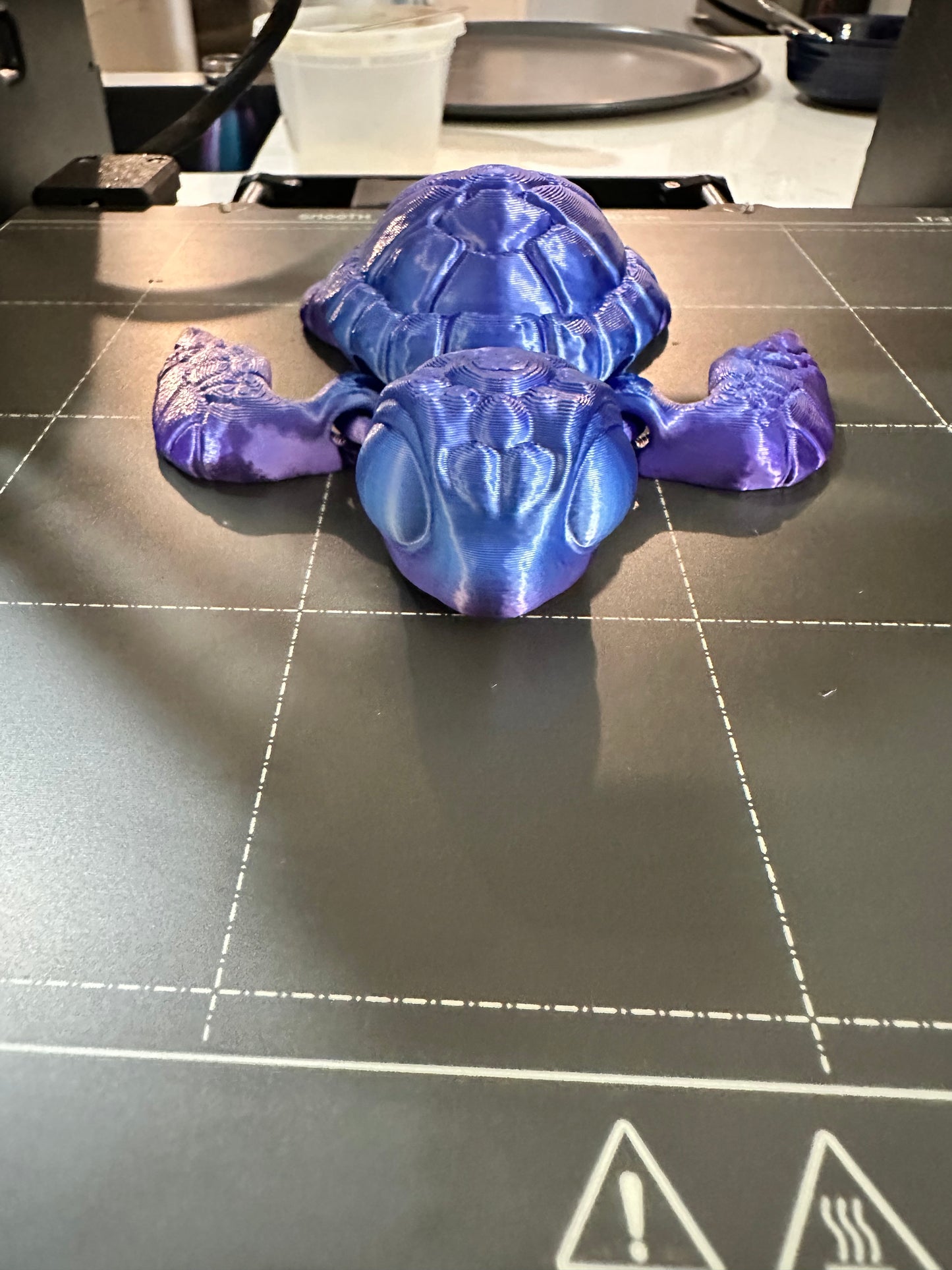 3D printed Sea Turtle